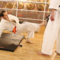 Jiu-jitsu at Full Potential Martial Arts in Carmel Valley, San Diego, 92130