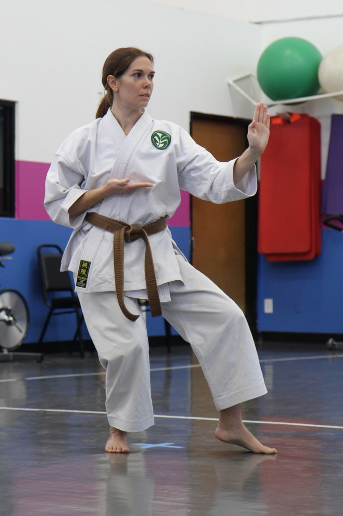 Karate-Kata-Rohai-Nidan-92130