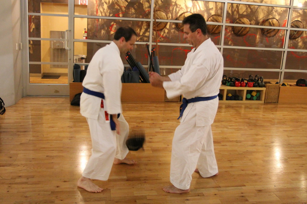 karate-power-generation-san-diego-92130