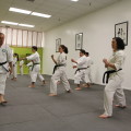 Karate-Training-Sensei-Paul