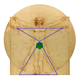 Leonardo-Da-Vinci-Vitruvian-man