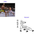 bubishi-and-mma-old-is-new