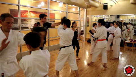 Practical-Karate-How-to-Hit-Hard-Impact-Training-Program