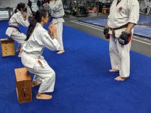 Karate-Strength-and-Conditioning-Carmel-Valley-San-Diego-92130